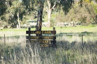 Al Ru Farm