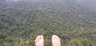 Sinharaja Forest Gate