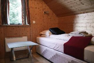 Room Room