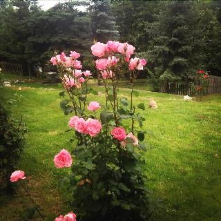 Kartaltepe Boutique Hotel