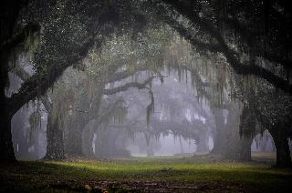 Greenwood Plantation B&B