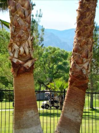 Historic Beaver Dam Lodge / Golf / RV Resort