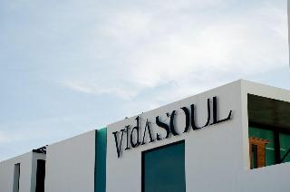 Vidasoul