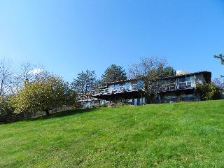 Berkshire Mountain House
