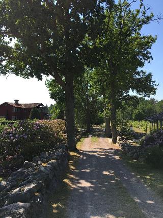 Åmund Vin & Fruktgård