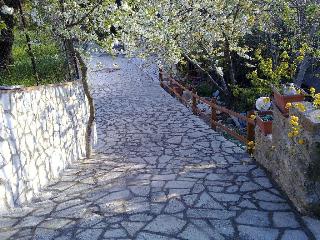 B&B Antica Trattoria Bacco