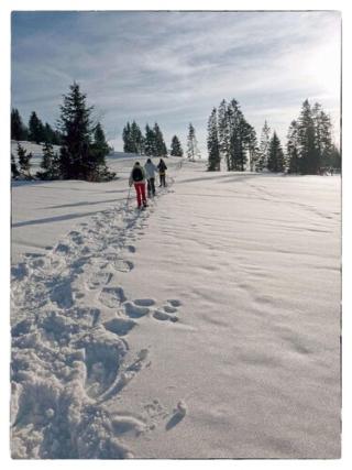 Evasion Tonique