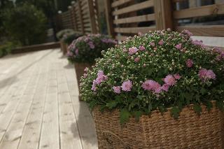 Yxnerum Hotell