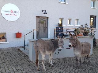 Haus & Hof