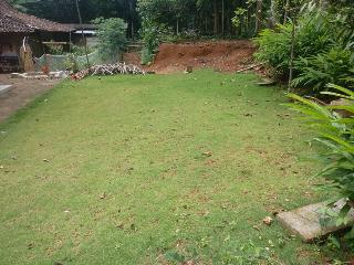 Elvira Homestay by ZUZU