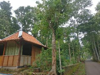 Homestay An-Nur by ZUZU
