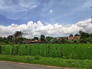 Narti Homestay by ZUZU