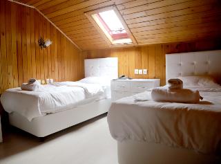 Room Room