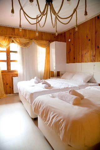 Room Room