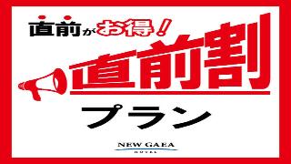 新蓋亞酒店 - 飯塚 Hotel New Gaea Iizuka