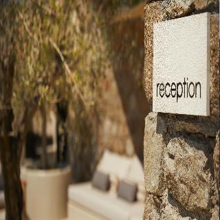 Collini Hotel Mykonos, WorldHotels Elite