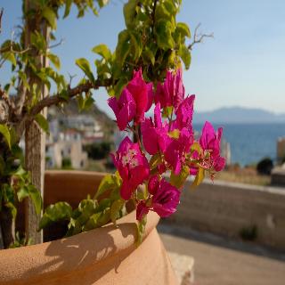 Pantonia Apartments