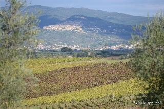 Resort Borgo Syrah