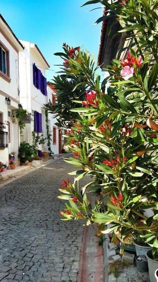 Amaranda Ada Evi - Adults Only