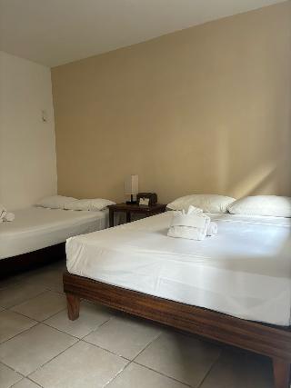 Room Room