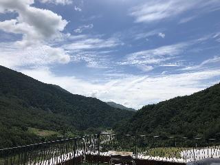 Pine Forest