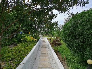 Pemba Paradise
