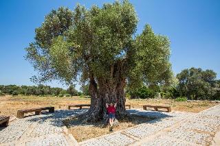 Teos Ormanci Tatil Koyu