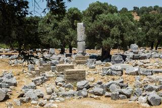 Teos Ormanci Tatil Koyu