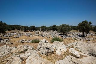Teos Ormanci Tatil Koyu