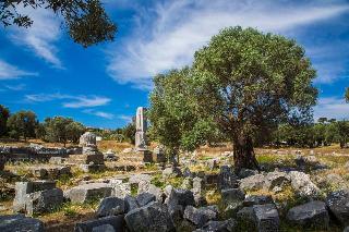 Teos Ormanci Tatil Koyu