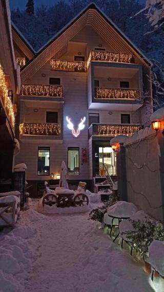 Borjomi Underwood Hotel