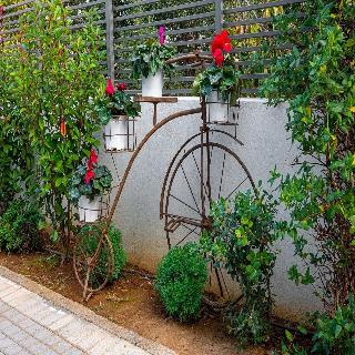 Comfort Stay Airport Boutique Hotel