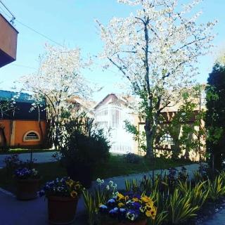 Apartments Bella Mare Belgrade