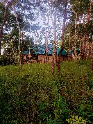 Mikumi Safari Lodge