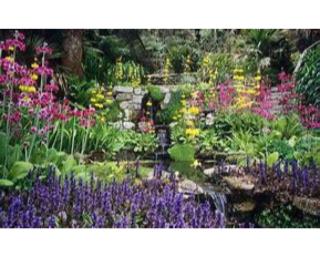 Trelawne Garden Annexe