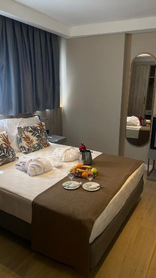 Room Room