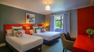 Room Room
