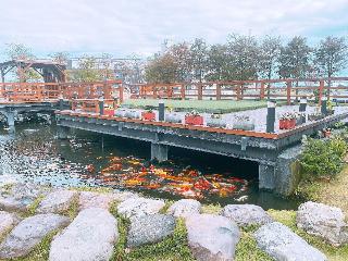 整體概覽