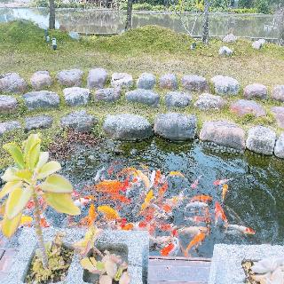 整體概覽