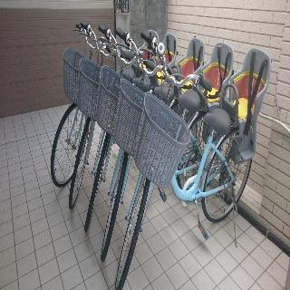 整體概覽