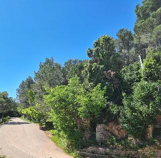Santuari de Terrades