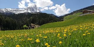 Pension Maria