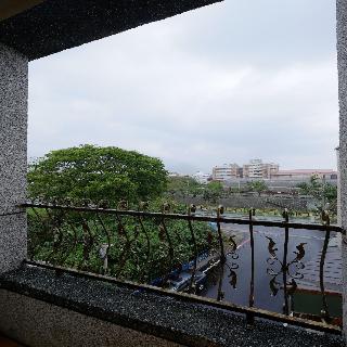 整體概覽