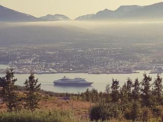 Akureyri Log Cottage