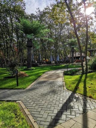 Utopia Forest