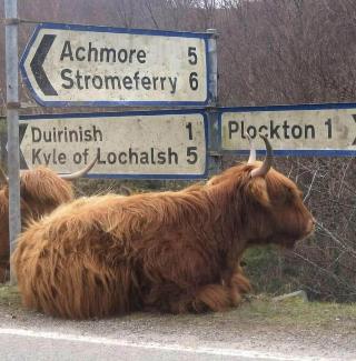 Duncairin Cabin 2 DOG Friendly AND Mins From Town