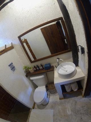 Room Room