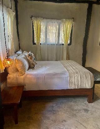 Room Room