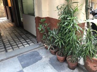 Aster Guest House