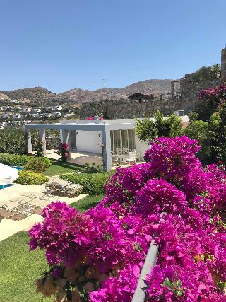 Ibak Sunny Houses